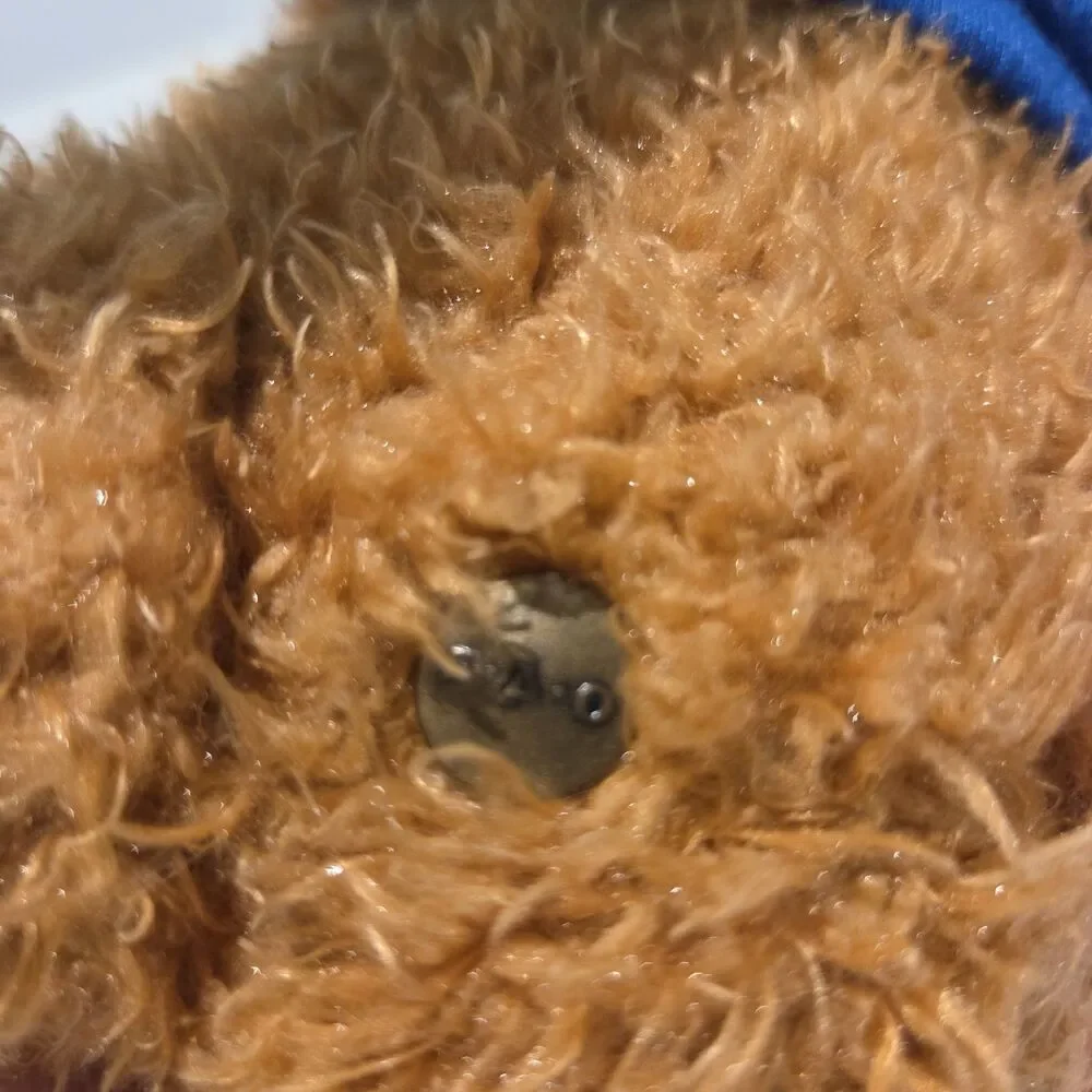 FAO Schwarz Super Hero Teddy Bear Brown Blue Shirt Plush Toys R Us Stuffed 11